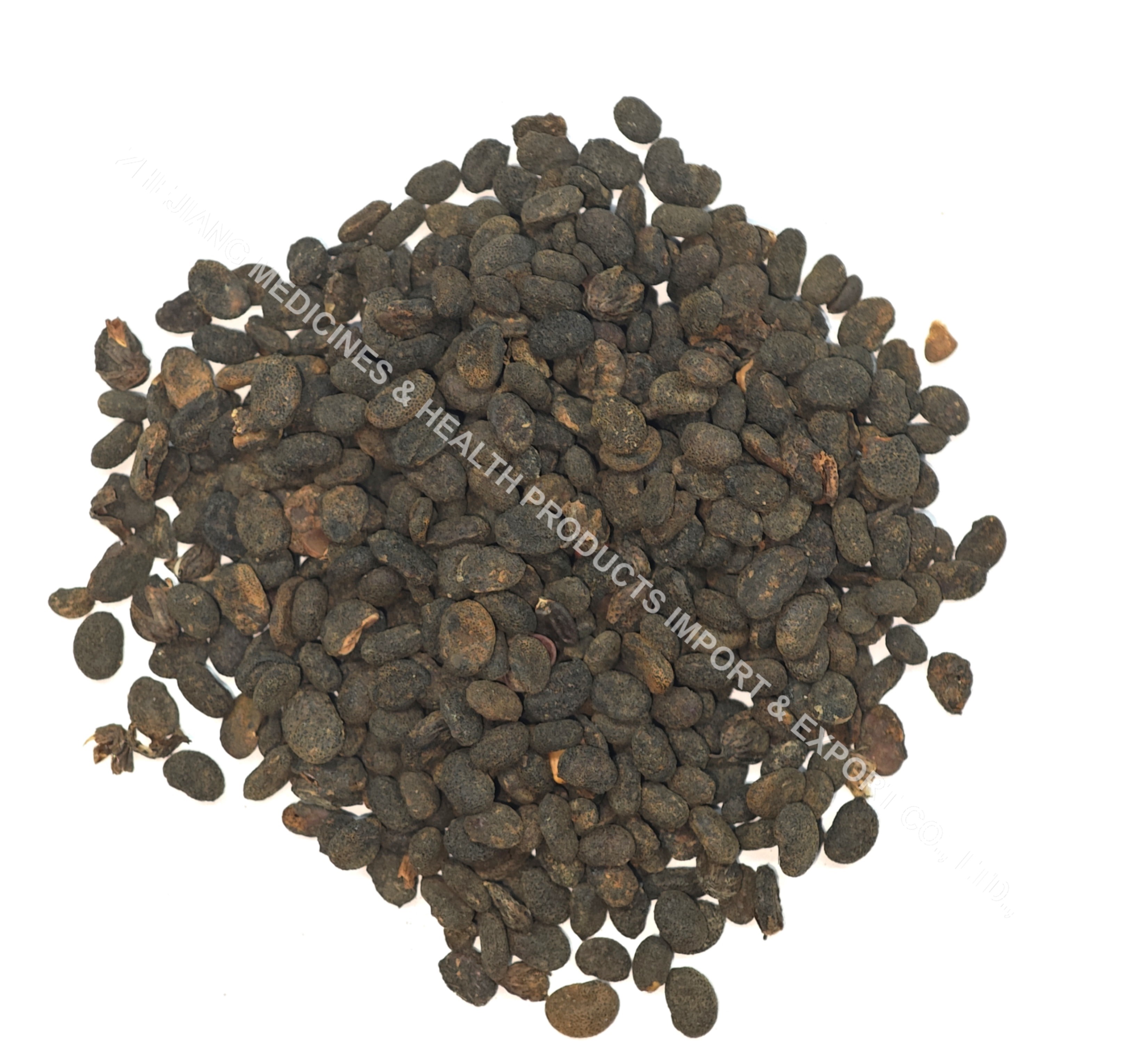 補骨脂-Malaytea Scurfpea Fruit.jpg