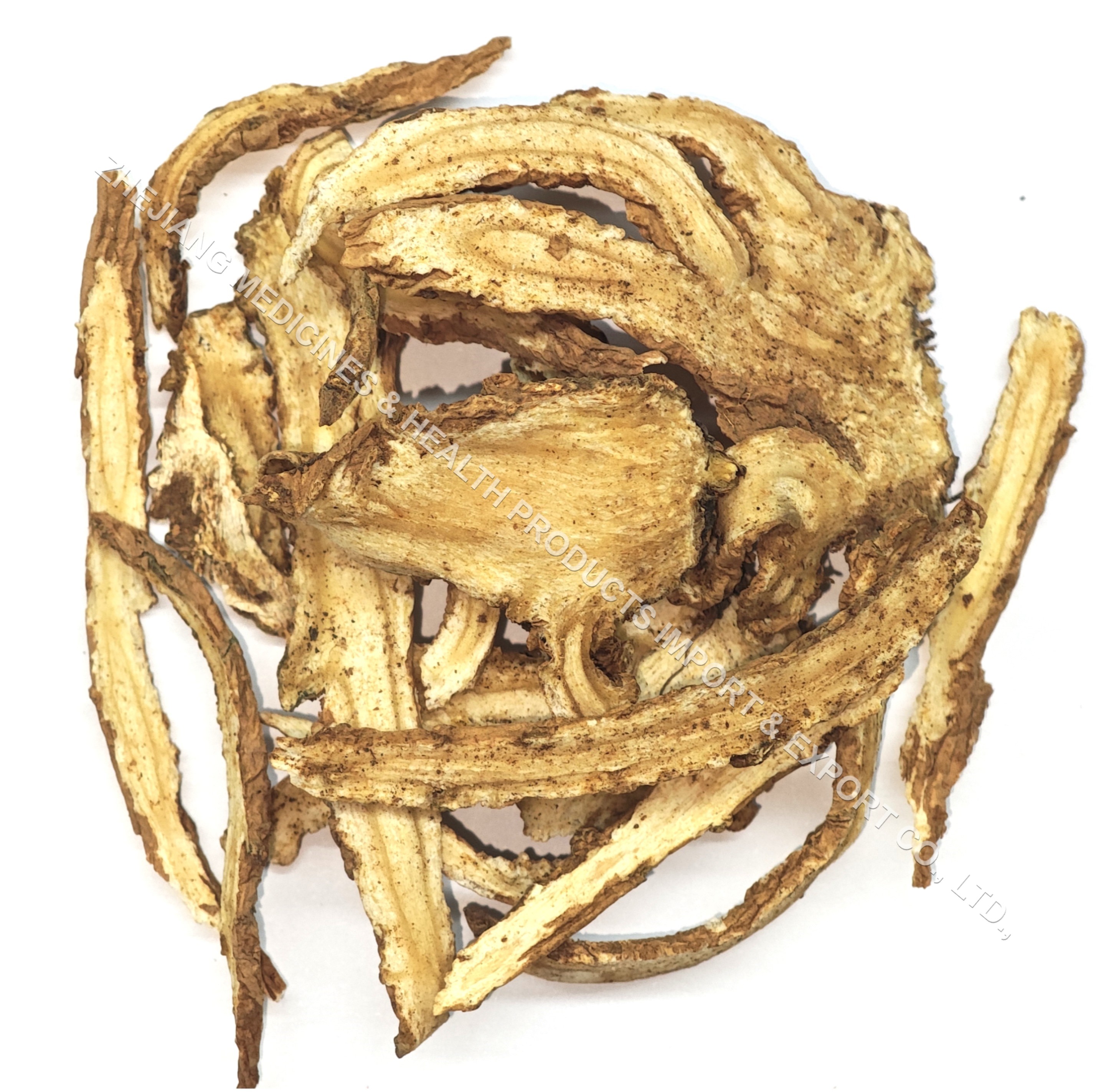 當歸-Angelicae Sinensis Radix.jpg