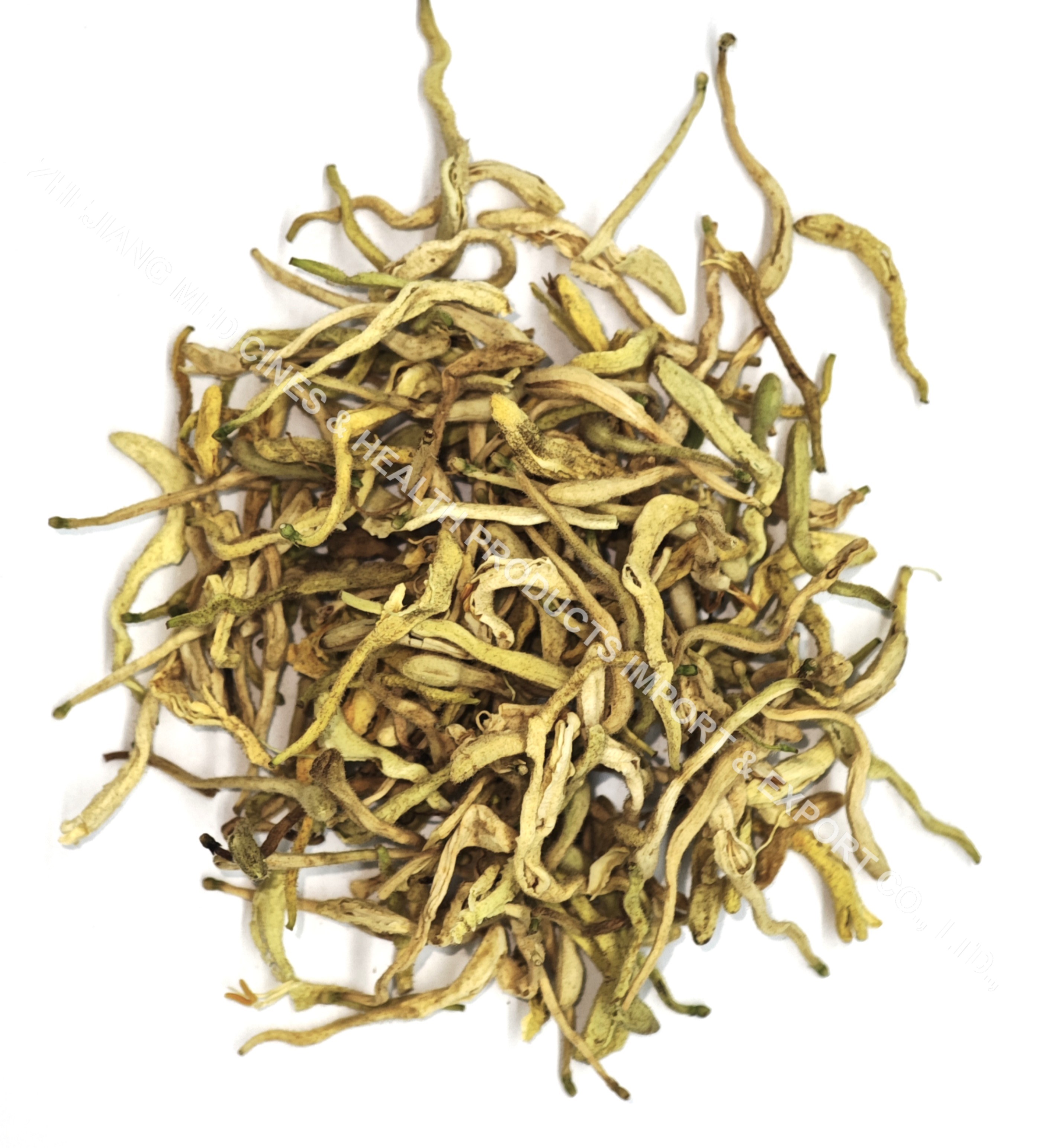 金銀花-Honeysuckle Flower Bud.jpg